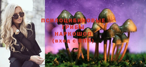 спайс Киренск