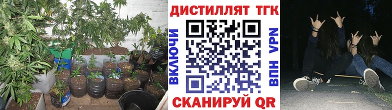 Купить где  Остров  ТГК гашишное масло 