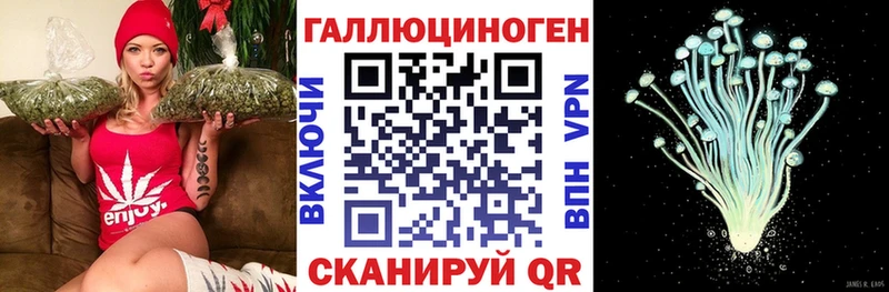 Купить  Остров  Псилоцибиновые грибы мицелий 